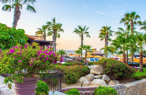 Paraiso Escondido Resort | Fun in the Sun Pueblo Bonito Sunset Beach Golf & Spa Resort - Junior Suite