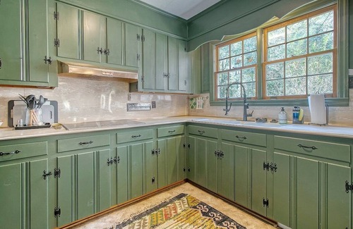 Summerville Historic District House | Funkadelic BRICK… Howse