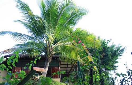 Playa Santa Teresa Hotel | Funky Monkey Lodge
