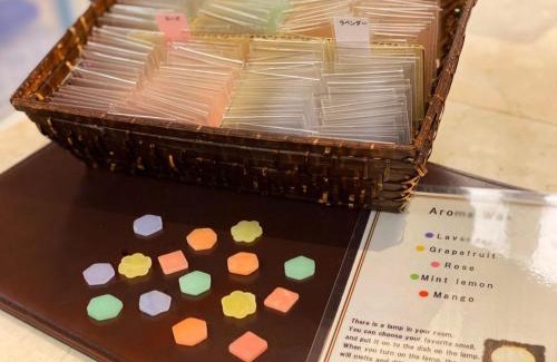 Furano Hotel | ＦＵＲＡＮＯ ＮＡＴＵＬＵＸ ＨＯＴＥＬ - Vacation STAY 68196v