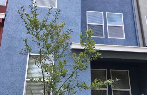 Rancho Cordova House | Furnished Corp Townhome @ FWY50 & Zinfandel near VSP, Intel,