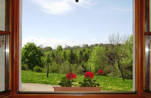 Hauterive-la-Fresse Apartment | Furnished quiet in an authentic setting in the middle of nature 328 feet high