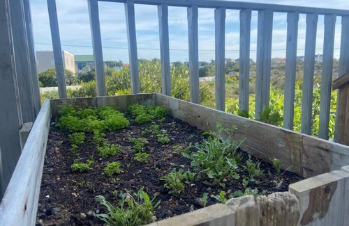 Betty's Bay House | Fynbos Lodge - a fynbos beach house