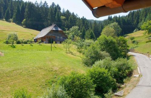 Bad Rippoldsau-Schapbach House | Gästehaus Herrmann