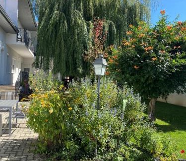 Illmitz House | Gästehaus & Weingut Klein