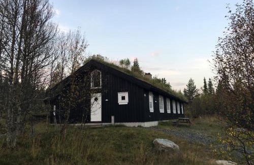 Sor-Fron House | Gålå Fjellhytte - cabin with sauna and whirlpool tub