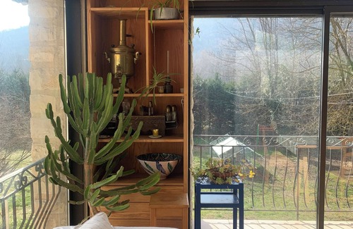 Dauphin House | Gîte 15 persons near Forcalquier and river