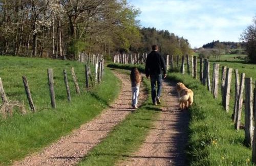 Belmont-de-la-Loire House | Gîte 8 pers avec cheminée et animaux admis - FR-1-496-32