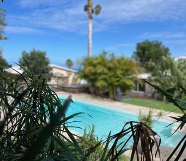 Le Portail Apartment | Gîte Allamanda 45m2, 2 à 4 Personnes, piscine et jardin tropical