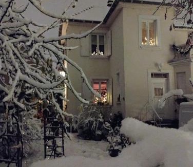 Chatenois Apartment | Gîte avec parking, au calme, entre Colmar-Riquewihr et Obernai ,marchés de Noël, 3 chambres, avec terrasse