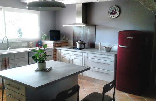 Castelnau-de-Montmiral House | Gîte Country house
