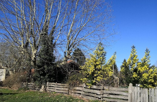 Saint-Vite Villa | Gîte Familial " la Valentine du Sud" Animaux de Compagnie Acceptés