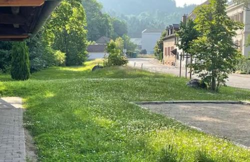 Masevaux-Niederbruck Apartment | Gîte La Bandsäge rando,rivière,quietude