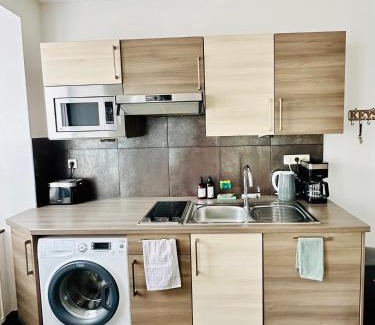 Obernai Apartment | Gîte Lorelei Obernai Centre Ville 2 à 4 personnes