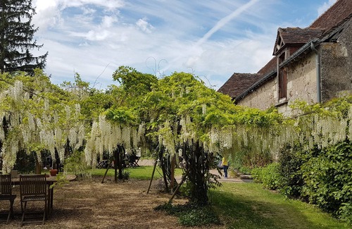 Villandry House | Gîte Potiron & prune