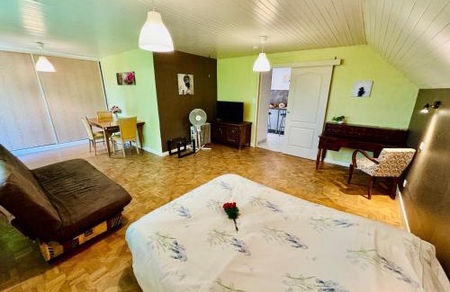 Le Breuil Apartment | Gîtes Montvaltin - Grand studio villa