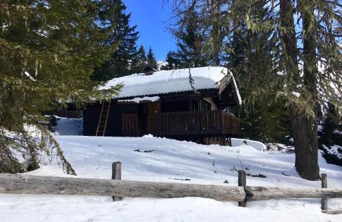 Arriach House | Günther's Almhüttn