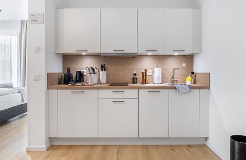 Guetersloh Apartment | Gütersloh Eickhoffstr | Suite L + SB + Balcony (LT)