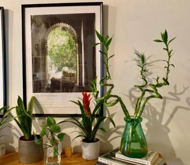 Carrobbio Apartment | G.G.Mora 2 Bilo