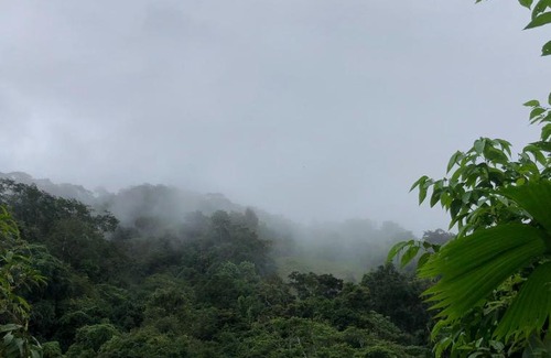 Surubres House | G.nature preserve