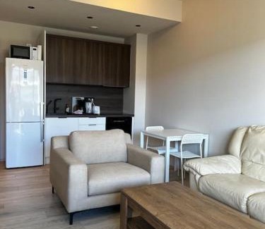 Laugardalur Apartment | G1 by Stay in Iceland