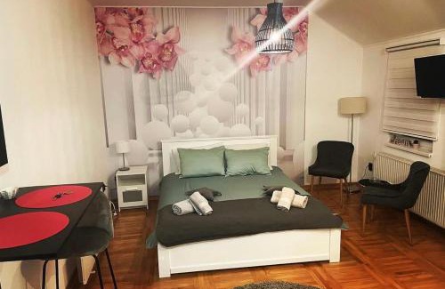 Rakovica Apartment | Gaga Gold