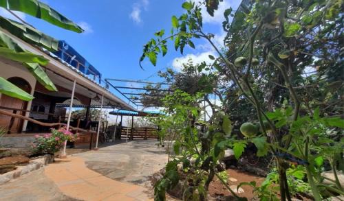 Puerto Baquerizo Moreno Bed & Breakfast | Galápagos Casa Playa Mann