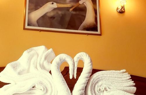 Puerto Baquerizo Moreno Bed & Breakfast | Galápagos Eco Friendly