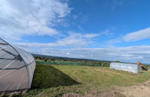 Barnard Castle Other | Gallow Hill Campsite