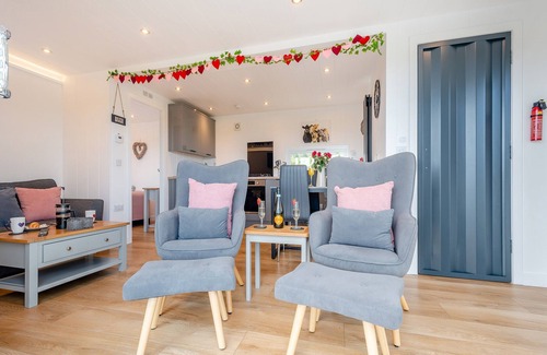 Newton Stewart Cottage | Galloway Views - UK46816