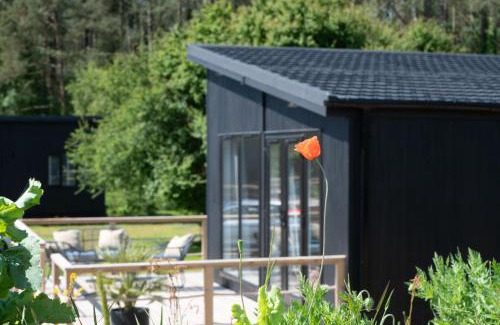 Llanfairpwllgwyngyll House | Galwad y Môr