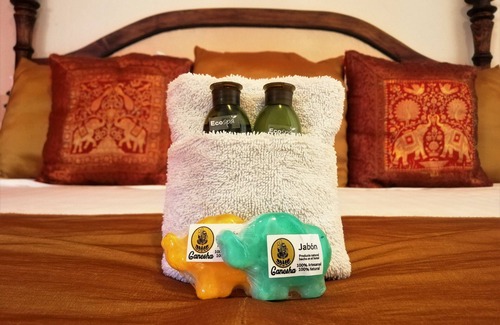 Zona Centro Hotel | Ganesha Hotel