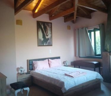 Konitsa Apartment | Garavelas Home Το σπιτι στην Καστανιανη Μαστοροχωρια Κονιτσα