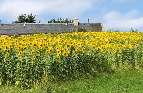 Kelso House | Garden Bank Cottage