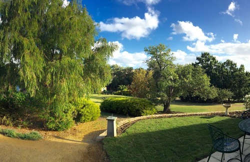 Yankalilla Cottage | Garden Cottage olives