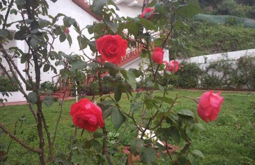 Shimla Bed & Breakfast | Garden Cottages