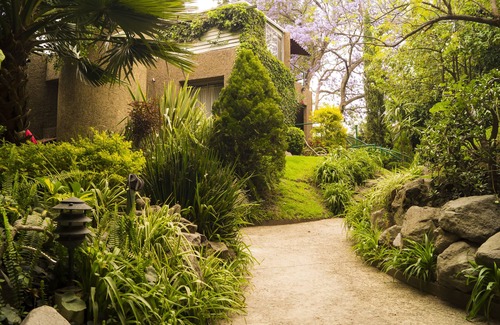 Guadalupe Inn House | GARDEN HOUSE, WELCOME TO SAN ANGEL NEIGHBOURHOOD