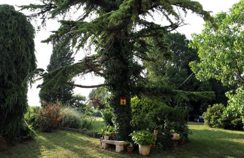 Loborika Apartment | Garden