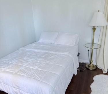 Brockton Apartment | Garden level one bedroom apartment