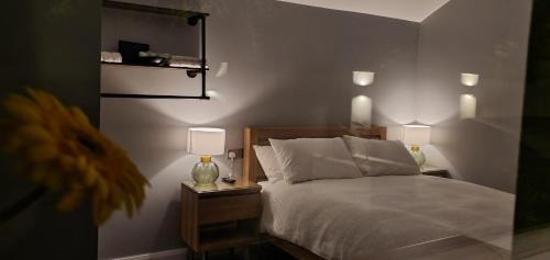 Belfast House | Garden Lodge