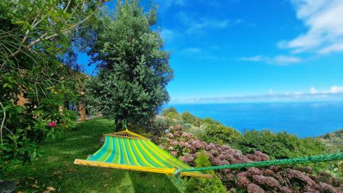 Sao Vicente House | Garden of Eden by LovelyStay