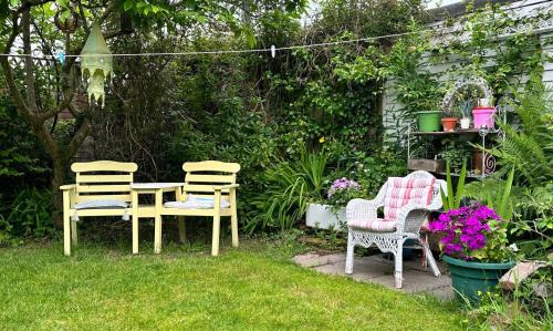 Belfast Apartment | Garden Snug