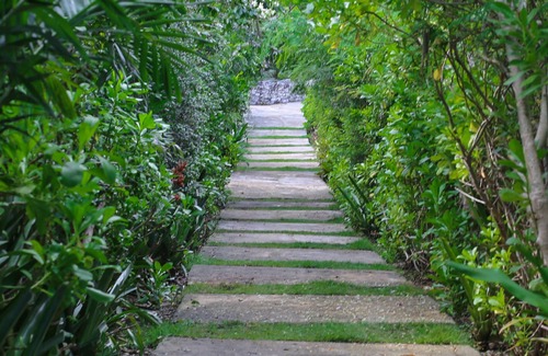 Upper Bogue Cottage | Garden View Cottage, North Eleuthera, Driftwood Seaweed Cottage #1