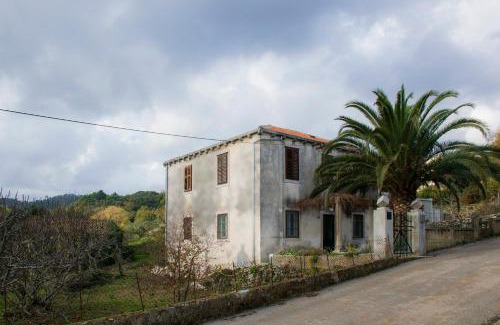 Janjina House | Gardenia House