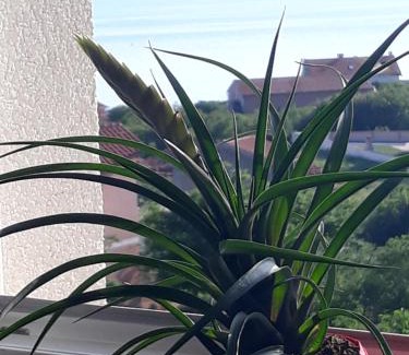 Povile House | Garfild Guest house