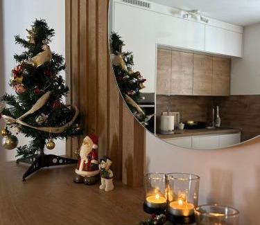Kopaonik Apartment | Garnet Star Apartments 1