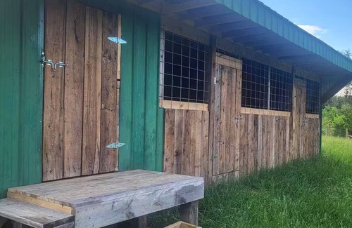 Allardt House | Garrett's Private Lake House with Horse Barn in wonderful Jamestown;