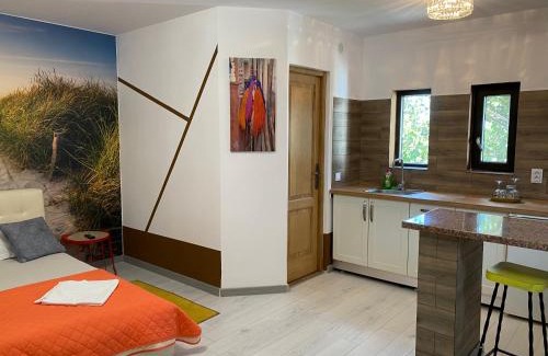 Craiova Apartment | Garsoniera centrală lux Royal