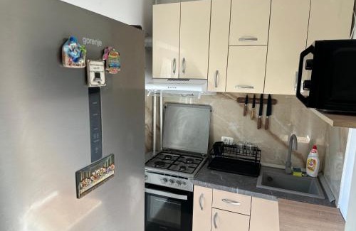 Ramnicu Valcea Apartment | Garsoniera Cocheta