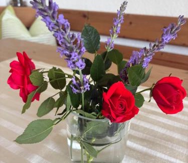 St. Gilgen Apartment | Garten Apartment Diwoky